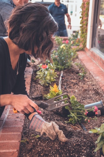 Eight Gardening Ideas for Spring