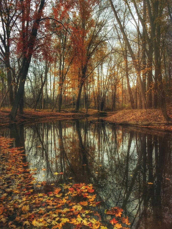 Burton, Michigan in the fall. Photo by Aaron Burden. 